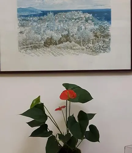 Torre Cepollini Pensión Albenga