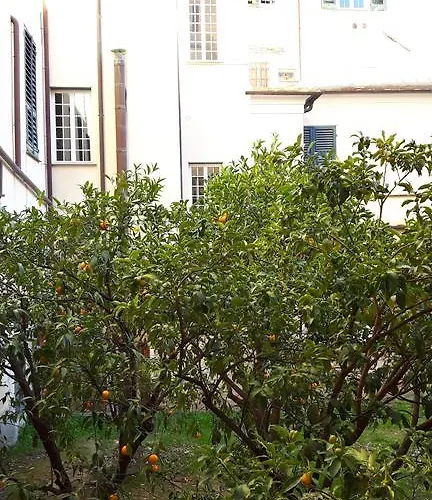 Torre Cepollini Pensión 4*