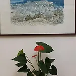 Torre Cepollini בית הארחה אלבניה