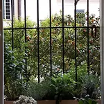 Torre Cepollini 3* Albenga