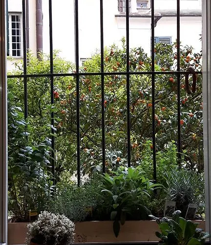 Torre Cepollini 4* Albenga